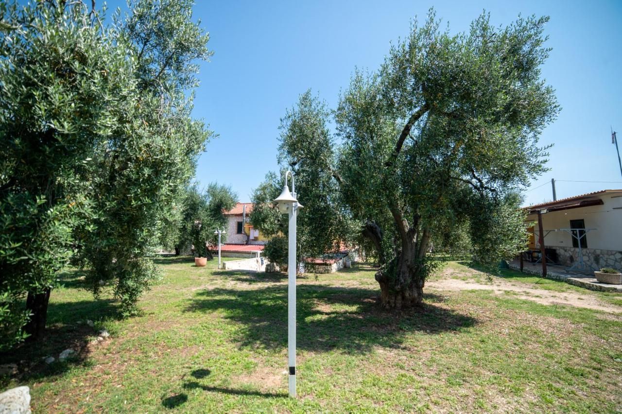 Coppola Rossa Relax Bed & Breakfast Vieste Exterior photo