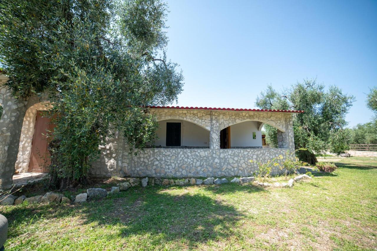 Coppola Rossa Relax Bed & Breakfast Vieste Exterior photo