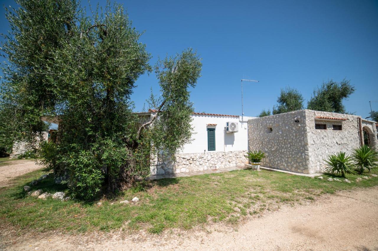 Coppola Rossa Relax Bed & Breakfast Vieste Exterior photo