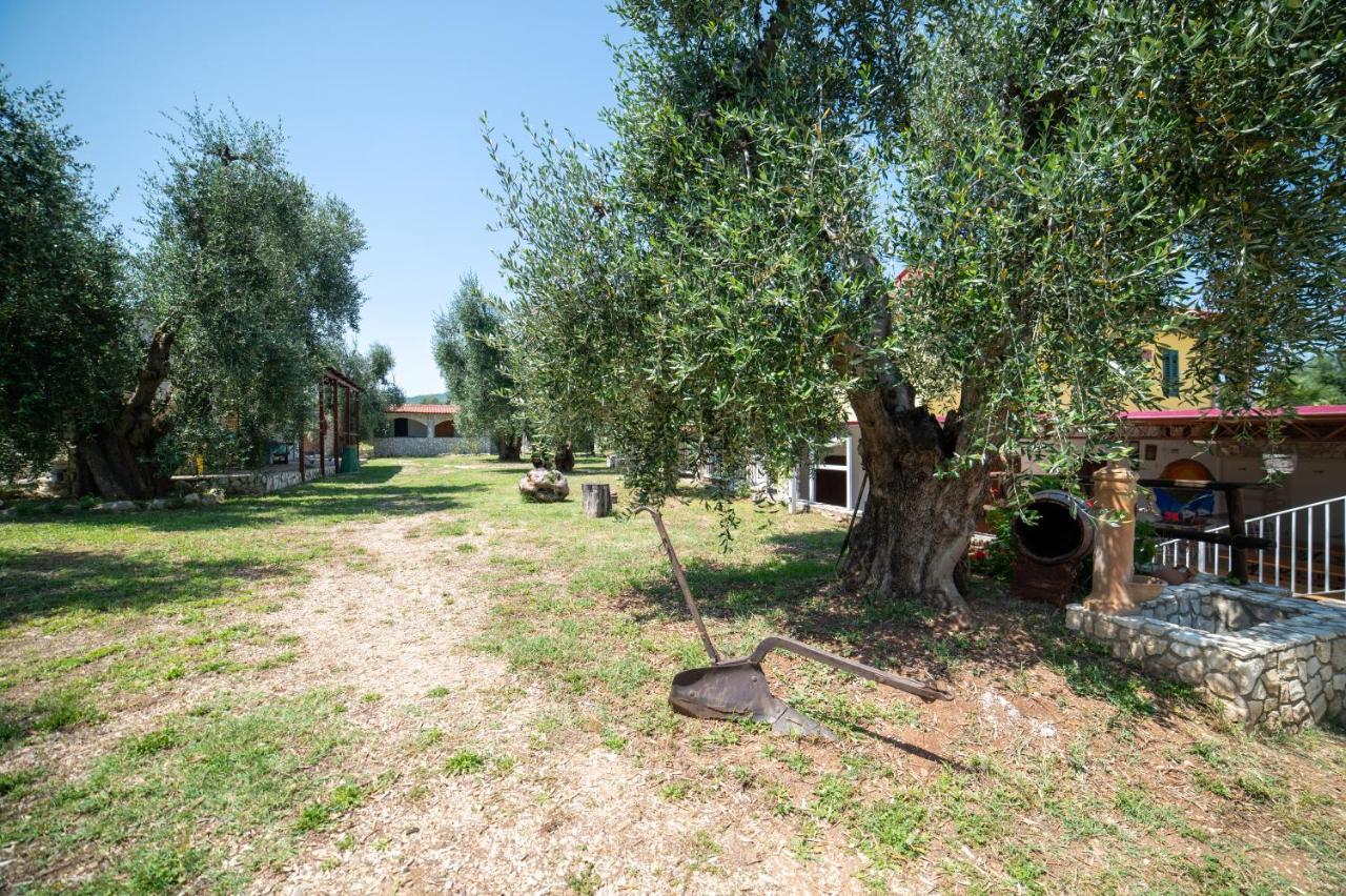 Coppola Rossa Relax Bed & Breakfast Vieste Exterior photo
