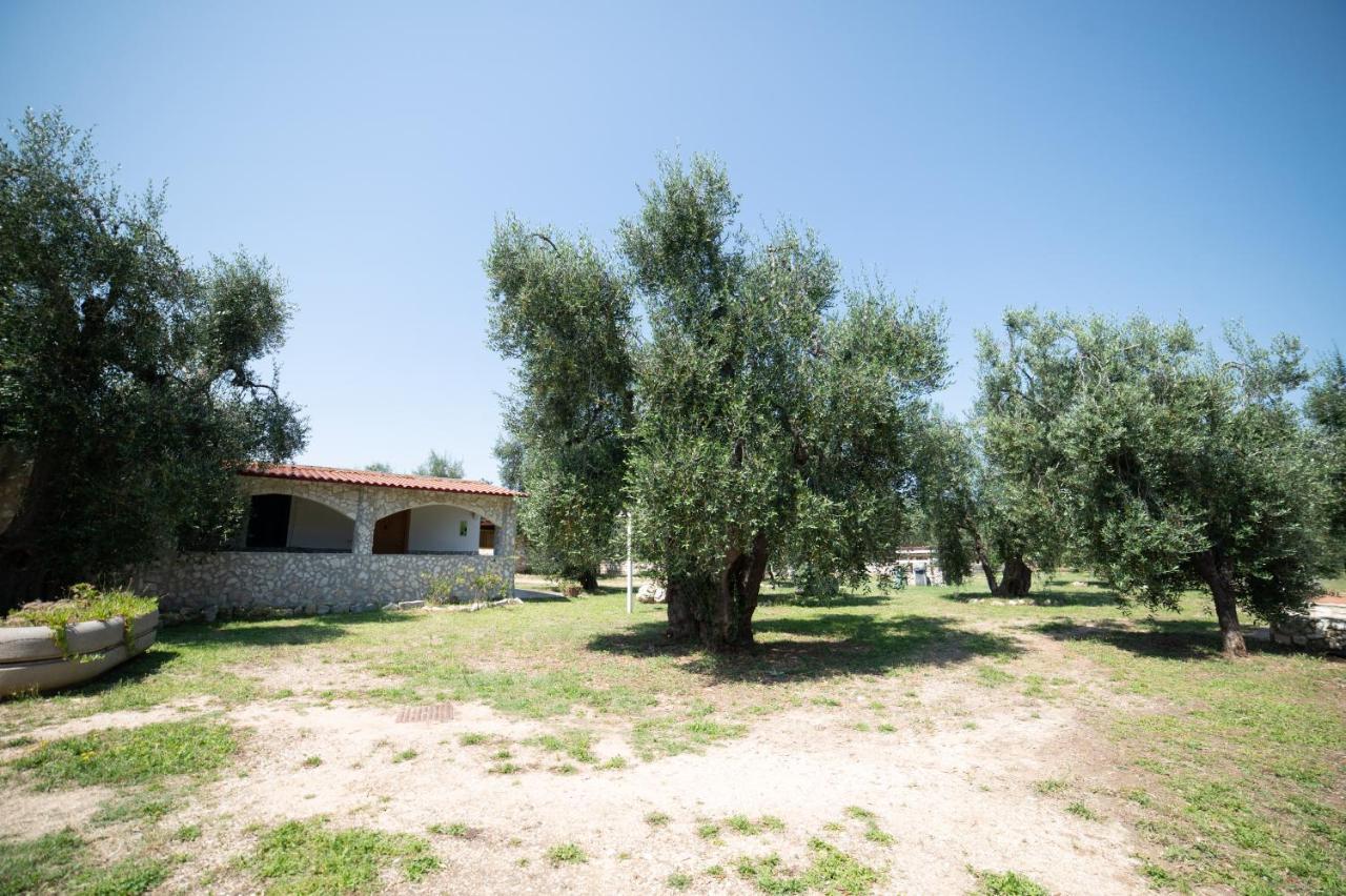 Coppola Rossa Relax Bed & Breakfast Vieste Exterior photo
